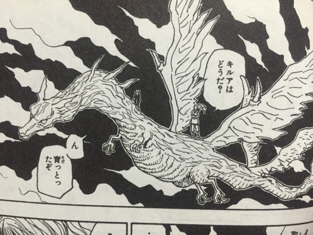 ハンターハンター ミケ ミケを捕まえる ゾルディック家の挑戦