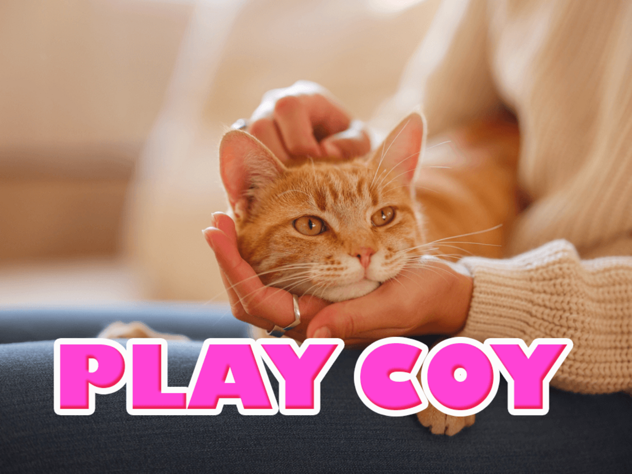 猫をかぶる」って英語でなんて言う？本性をかくすときの英語フレーズとは - ネイティブキャンプ英会話ブログ | 英会話の豆知識や情報満載