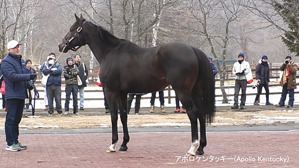 仏ダービーとは スポーツの人気 最新記事を集めました はてな
