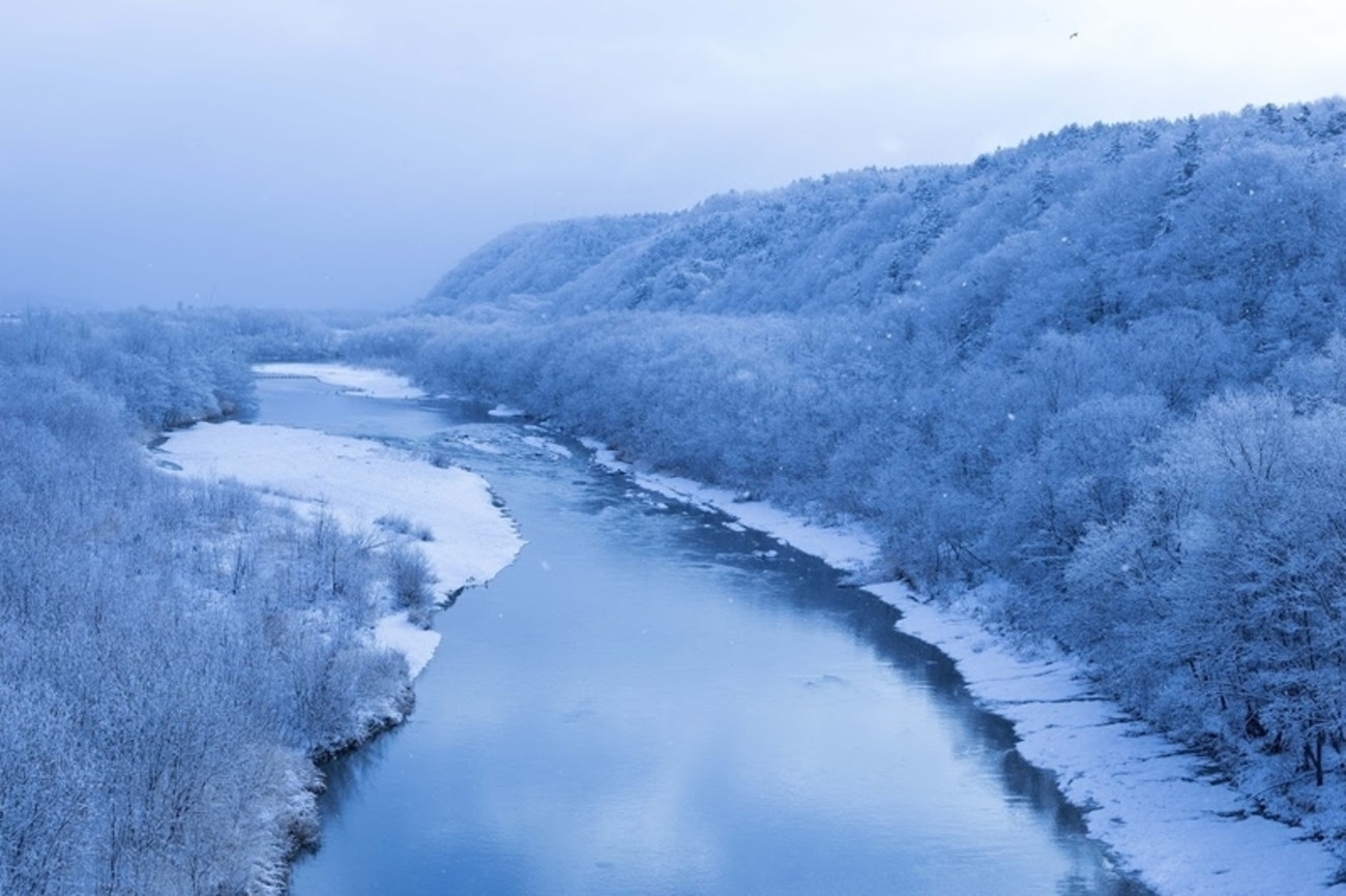 backend=imagemagick;version=1;