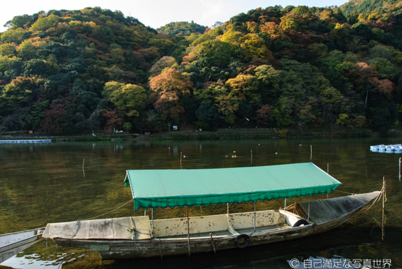 真作/海光/紅葉保津川下り図/筏下り/布袋屋掛軸HF-321 真作/尾崎淡遠/山水図/布袋屋掛軸HB-78