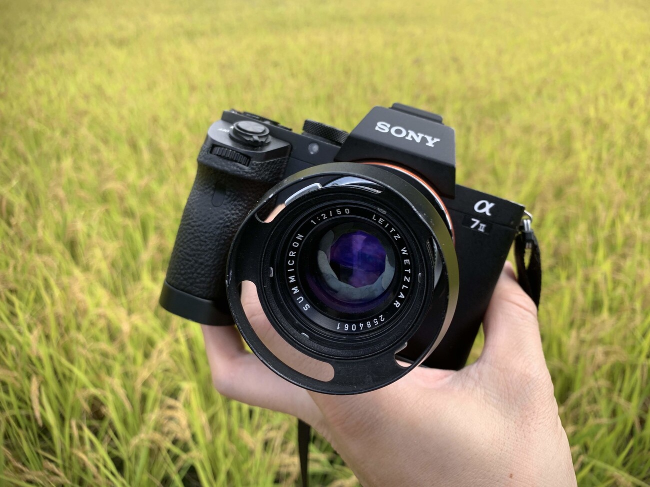 Leica SUMMICRON-R 50mm F2 後期型Eマウントアダプター付 オールドレンズ】ライカの味わいを感じるスタンダードレンズ