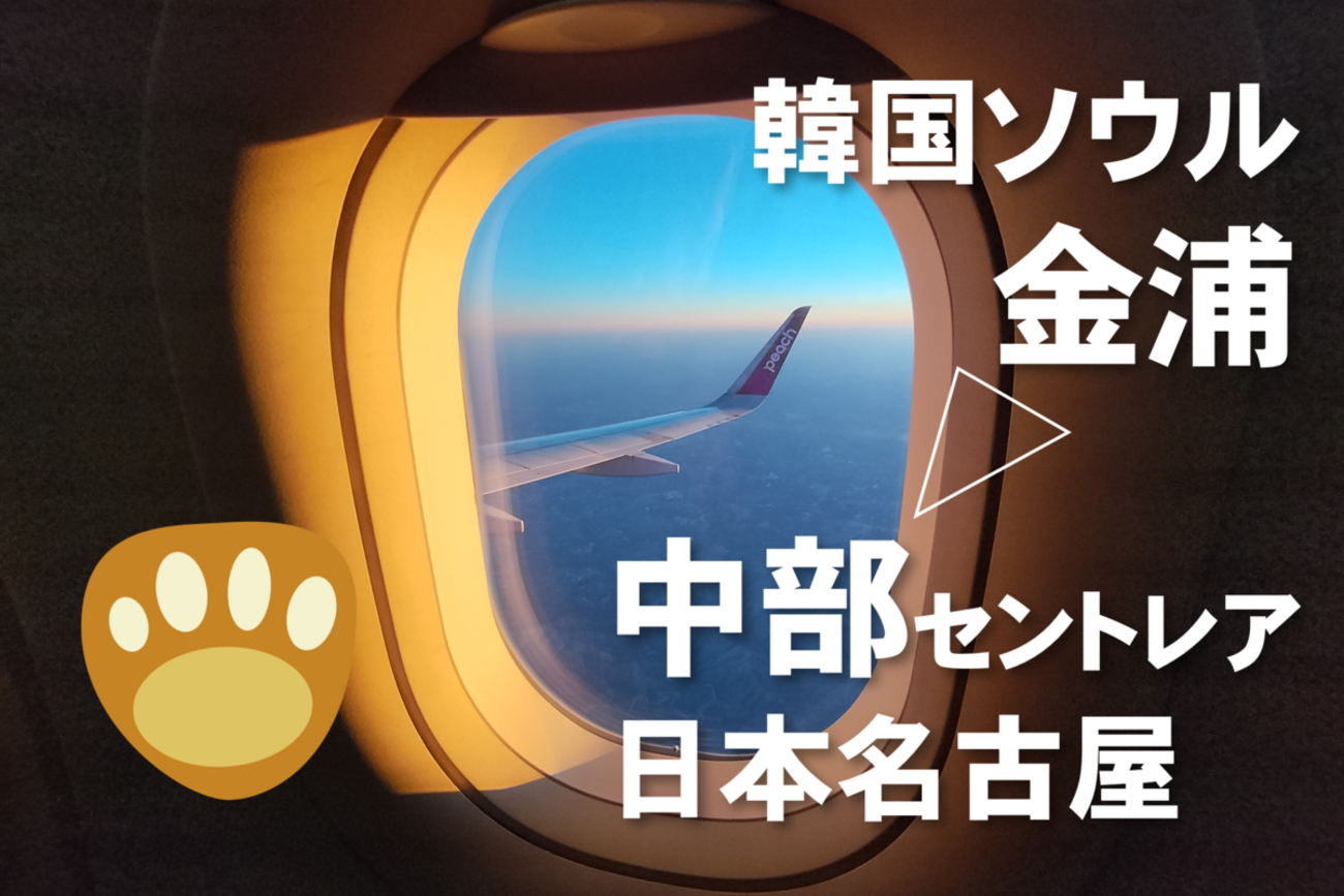 ソウルから名古屋へ帰るならPeachだ！ - 旅するおしゃべりくまさん