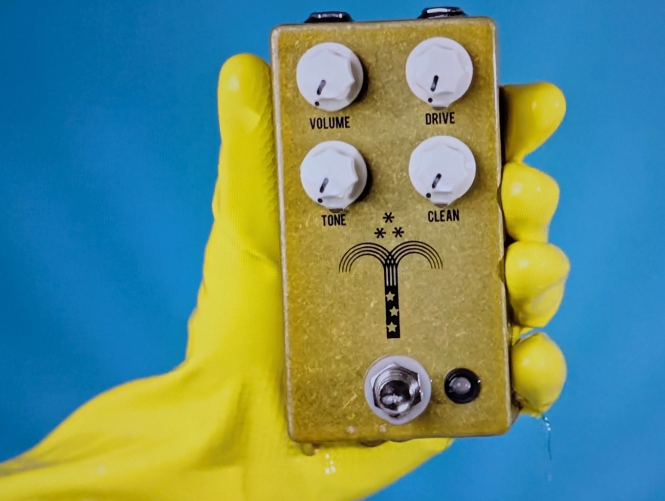 モーニング・グローリーの新しいバージョン When Transparent