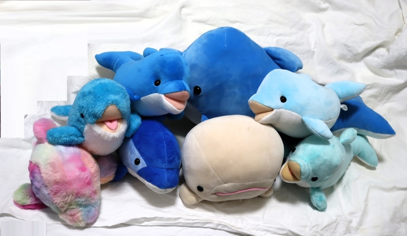 全国版 イルカぬいぐるみくじ まとめ - ぬいぐるみくじ発見紀
