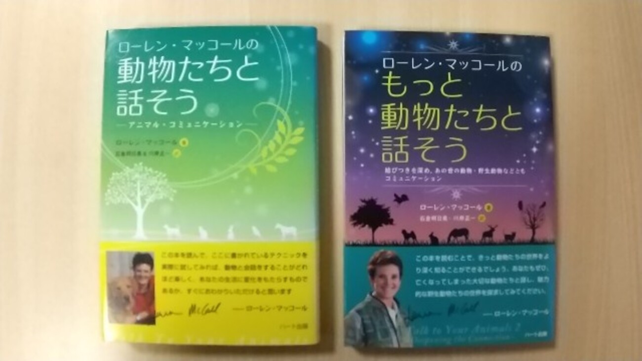 くまおさんとのコミュニケーション - のほほんっと田舎暮らし