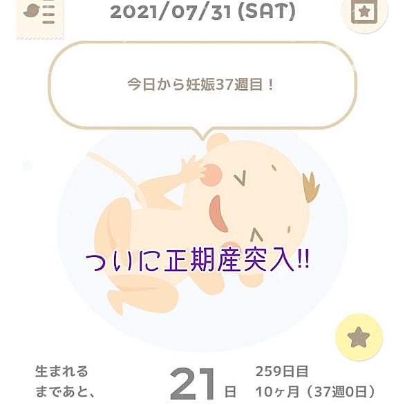正期産とは サイエンスの人気 最新記事を集めました はてな 正期産とは サイエンスの人気 最新記事を集めました はてな