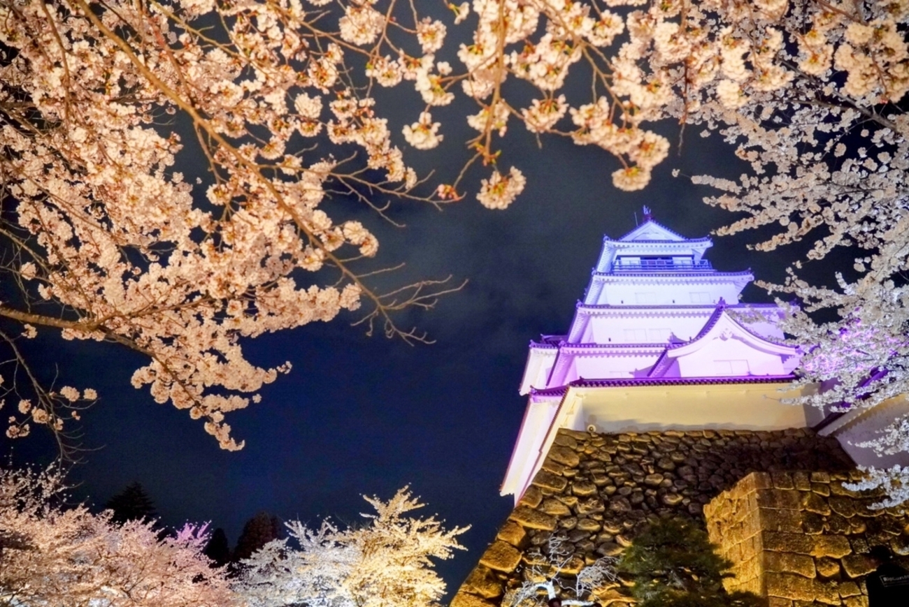 鶴ヶ城夜桜2026】SONYα6400で夜桜撮影を満喫。初心者にもおすすめの