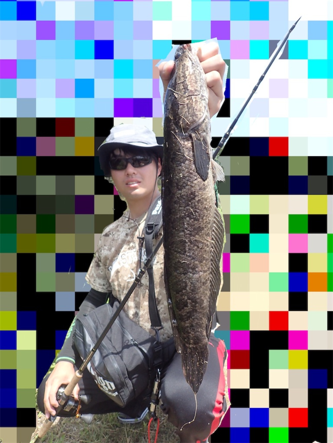 茨城県☆雷魚☆ポイントマップ☆厳選25ヵ所☆モンスター☆フロッグ
