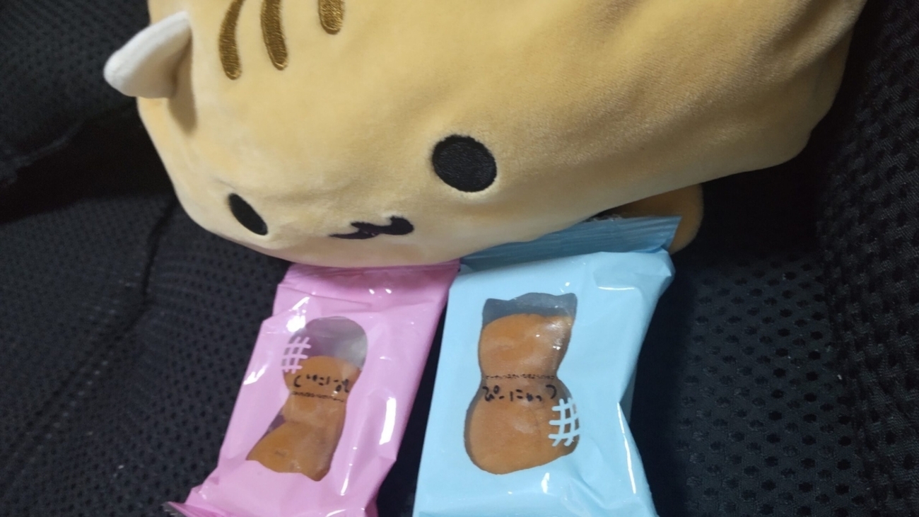 千葉のゆるきゃら「ぴーにゃっつ」の人形焼きがかわいい！電車で