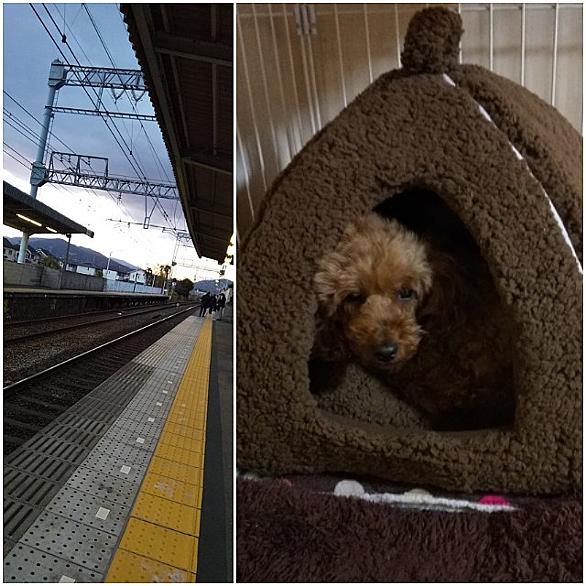 耳成駅とは 地理の人気 最新記事を集めました はてな 耳成駅とは 地理の人気 最新記事を集めました はてな