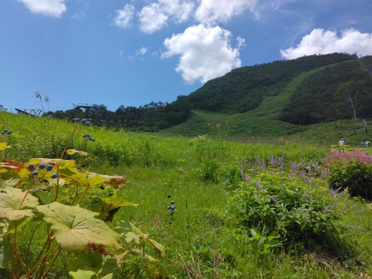 谷川岳ヨッホ - ウィズのブログ