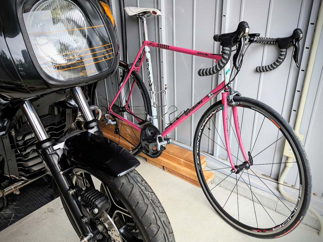 スーパーチャンピオン リム 青ラベル 36H AlexSINGER For Sale 