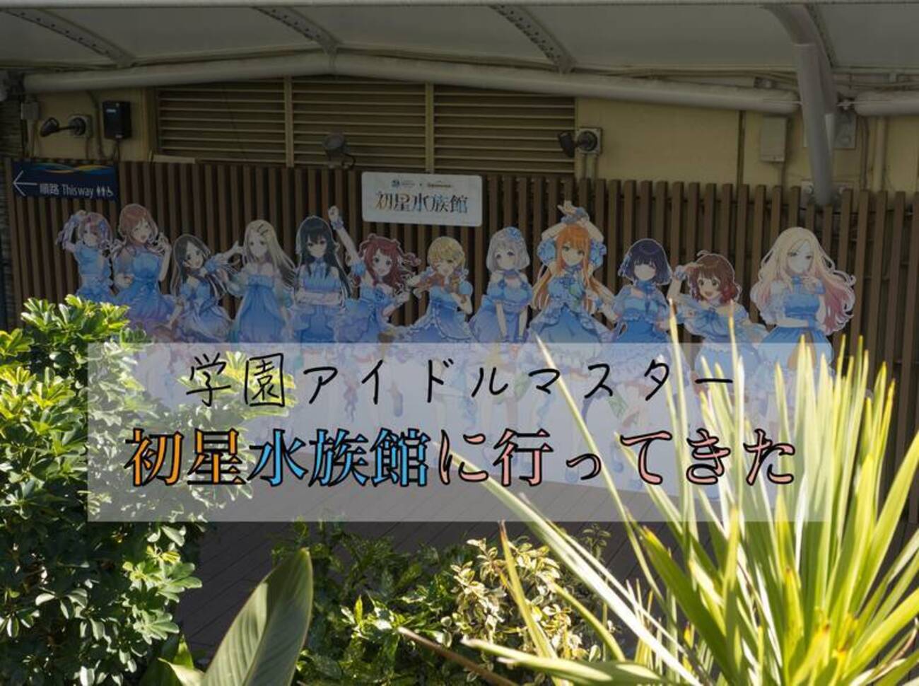 初星水族館-サンシャイン水族館コラボに行ってきた- - もつの雑記帳 