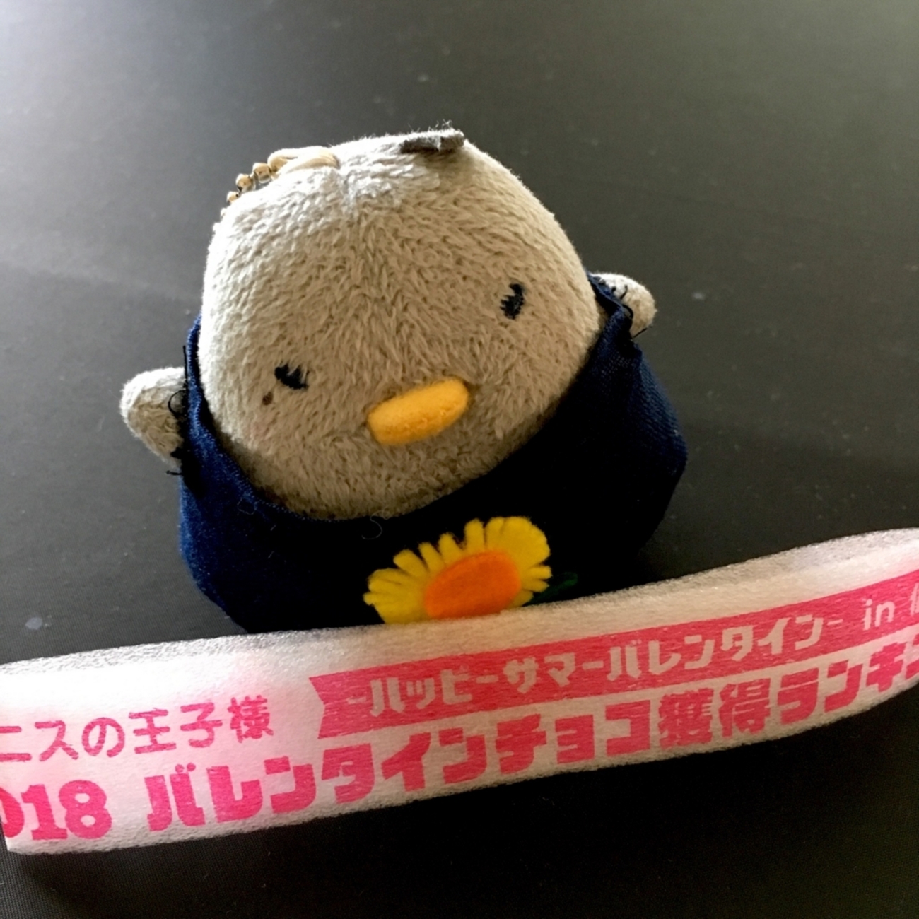 サマバレ2018 in仙台に行ってきた話 - すきなものがすき