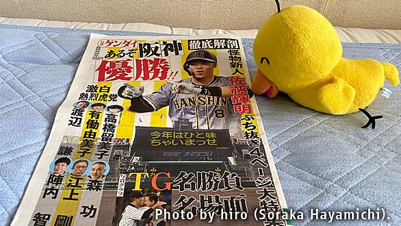 メークドラマとは スポーツの人気 最新記事を集めました はてな メークドラマとは スポーツの人気 最新記事を集めました はてな