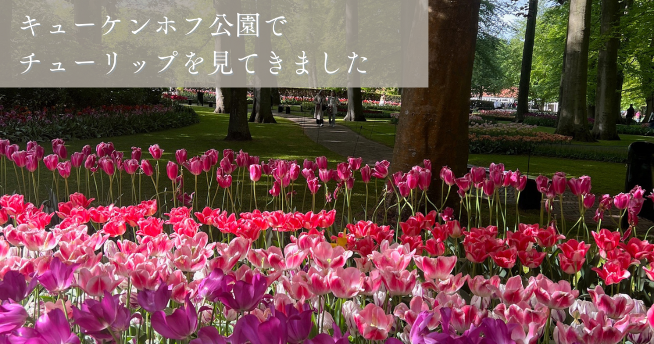 チュウリップ Chulip PS2 ソフト プレイステーション2 Best版 チュウリップ Chulip / PS2 Best版 チュウリップ