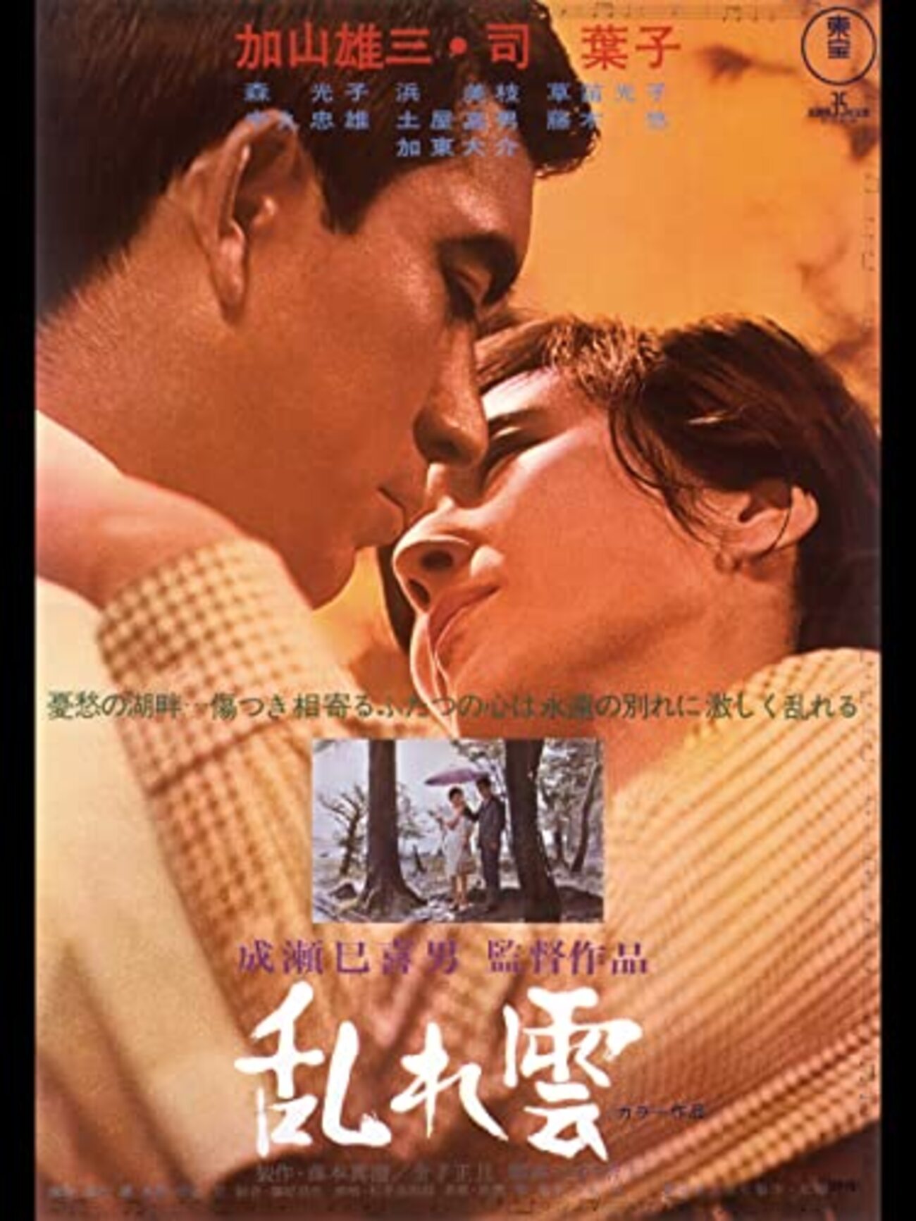 成瀬巳喜男監督「乱れ雲」3251本目 - 映画と人とわたし by
