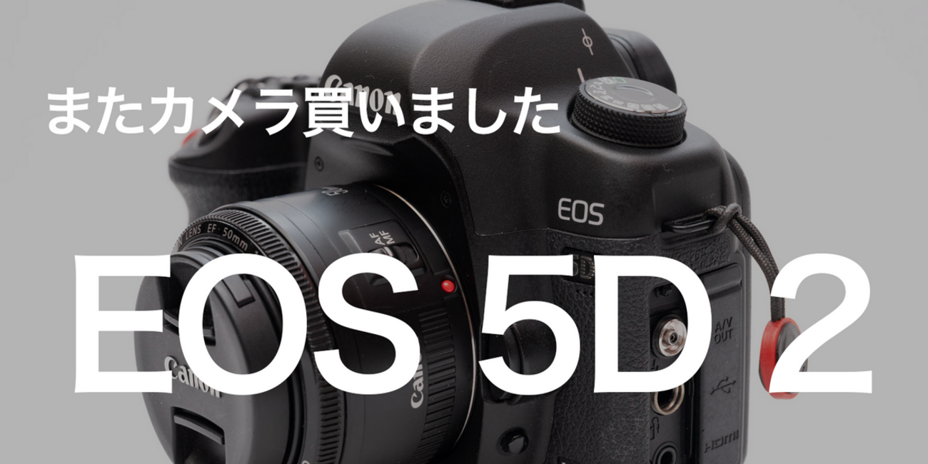 まだまだ使える】16年前の機種5Dmark2を使ってフルサイズの力を実感 