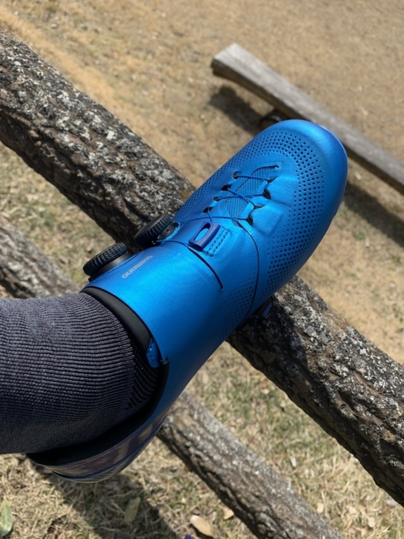 SHIMANO SH-R903 S-PHYREを履いて走り出す！ - 自転車好きのこそっと 