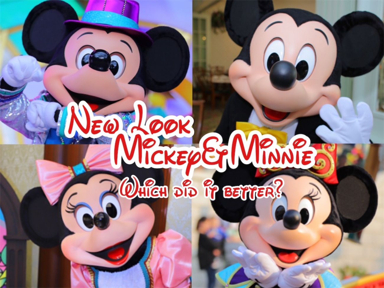 TDR】新フェイスについて思うこと。 - ねむりの国のフォト日記