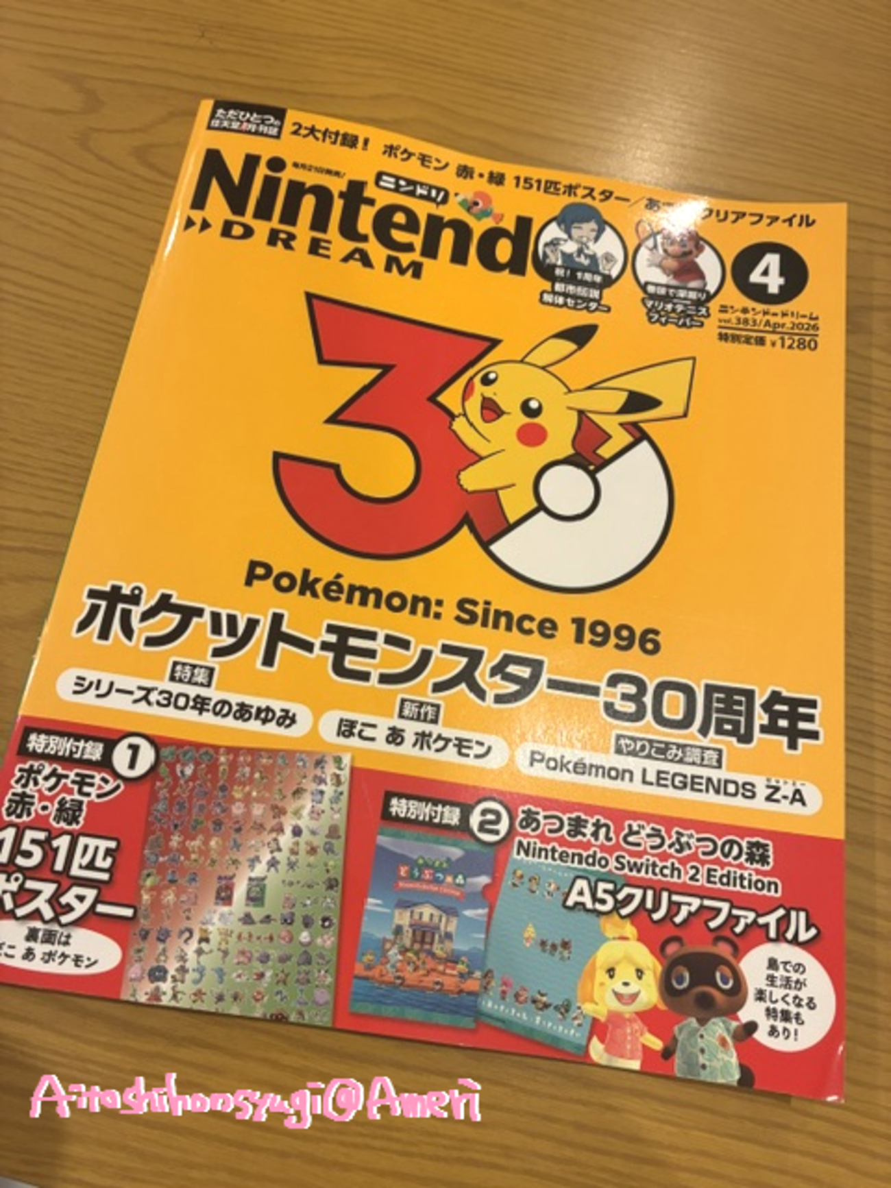 ニンドリ4月号を今更買う