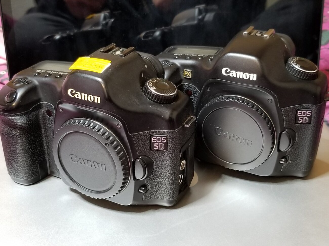 EOS 5D】故障にめげずに2台目をジャンクで購入しました。懲りない私