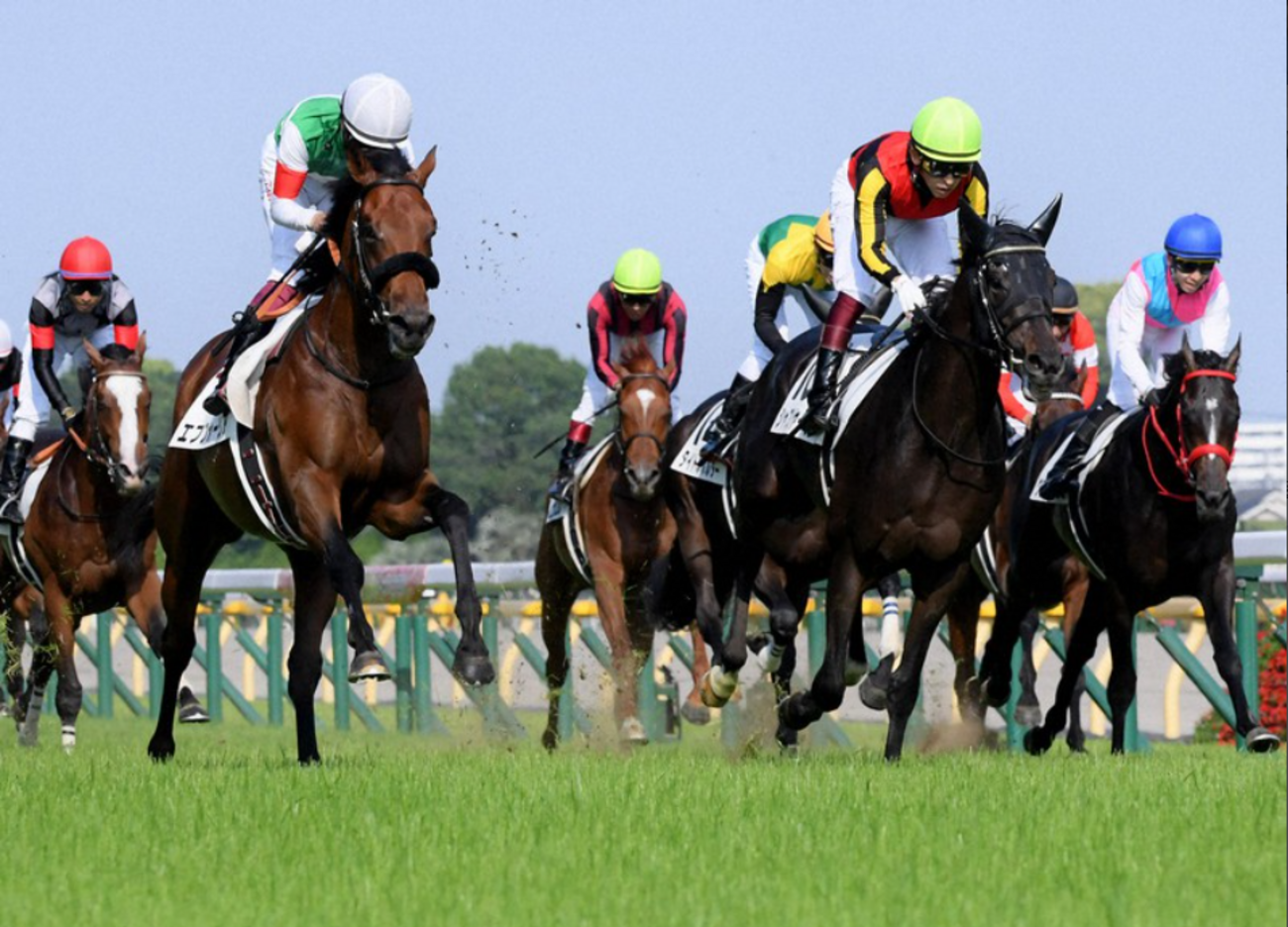 歴史的名勝負！ハナ差で無敗馬エフフォーリアの夢を砕いた