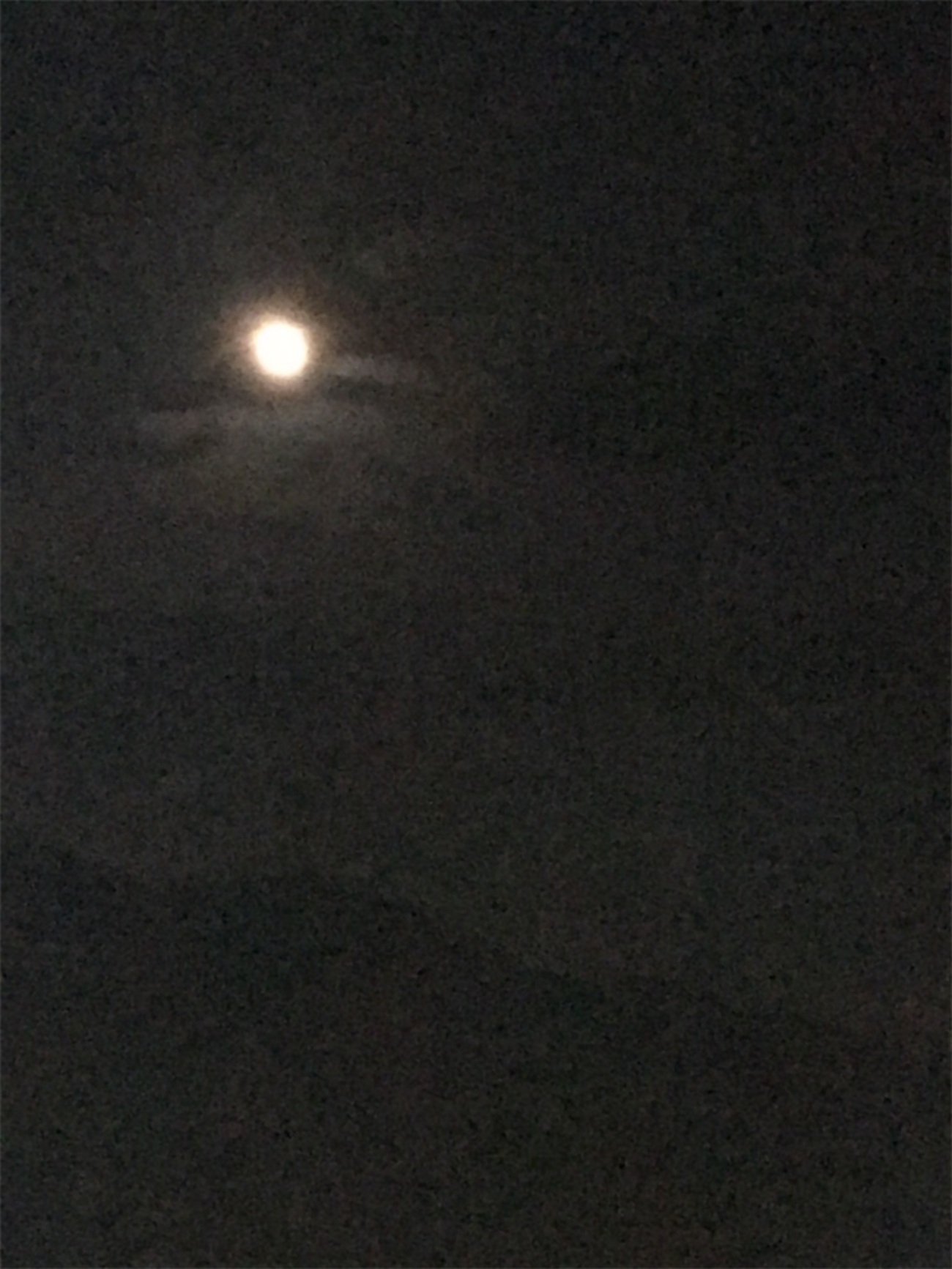 夜の風 - せきれいの森