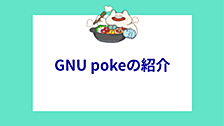 👈GNU pokeの紹介👉