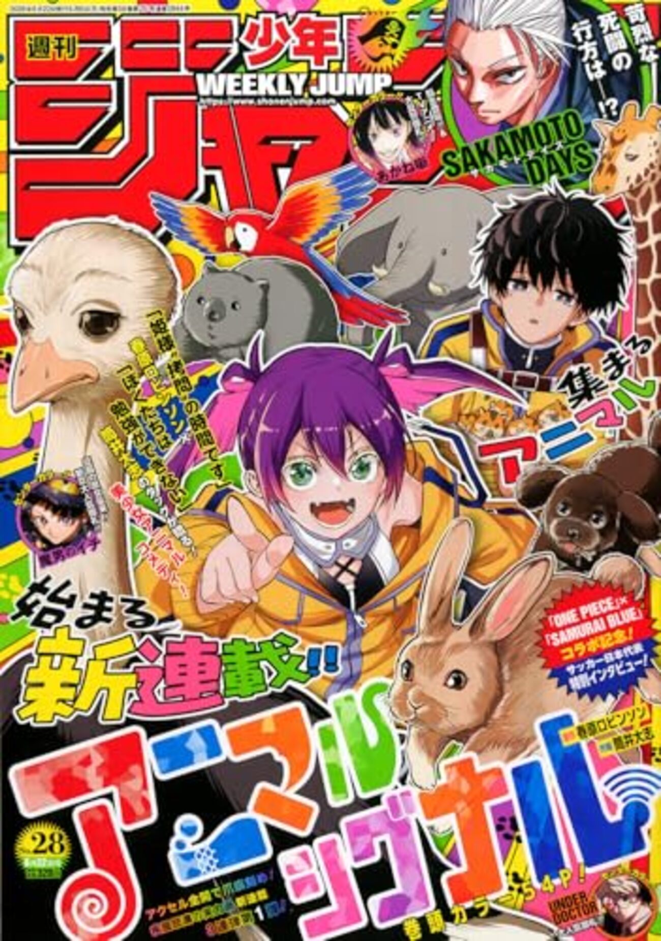 週刊少年ジャンプ2026年28号（紙版）の感想 - 北区の帰宅部の意訳