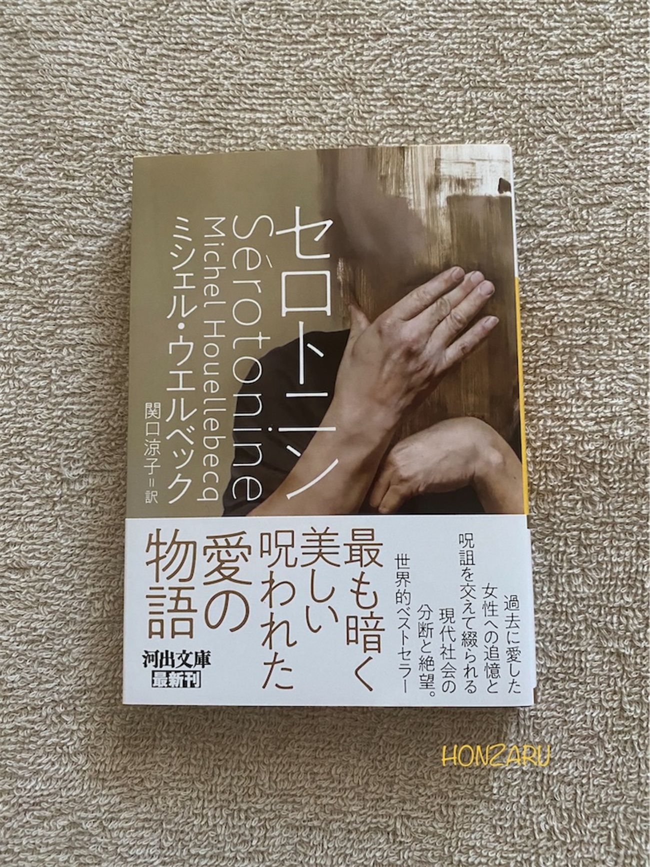 セロトニン』ミシェル・ウエルベック｜孤独を選ぶ人もいる - 書