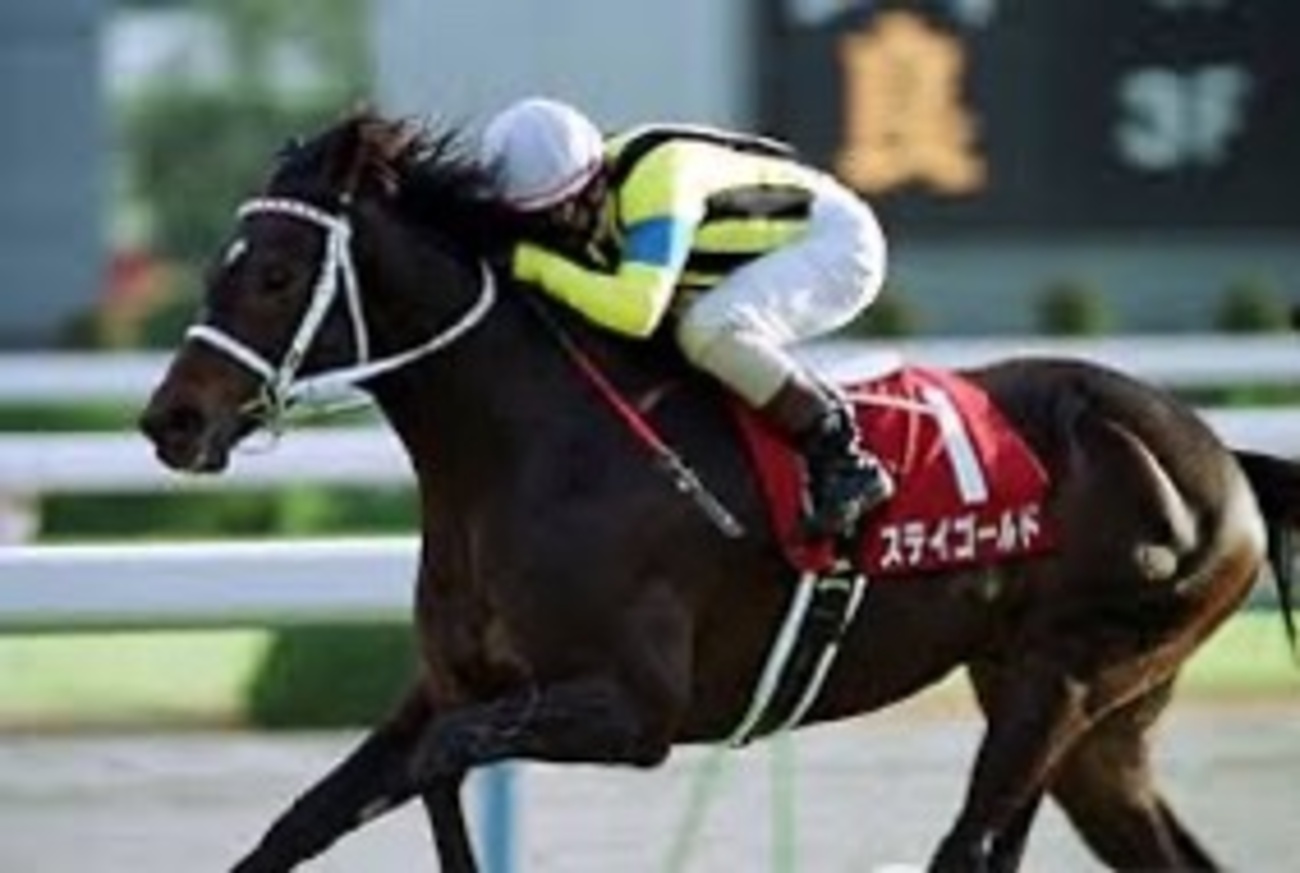 ステイゴールド｜海外GⅠ制覇と名種牡馬 - 特定看護師が教える！競馬 