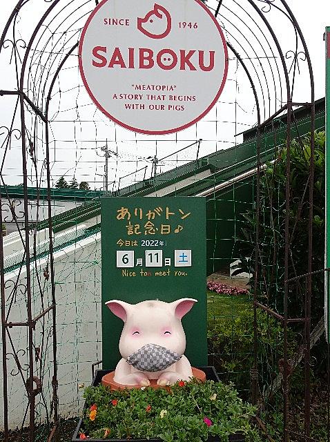 サイボクとは 食の人気 最新記事を集めました はてな