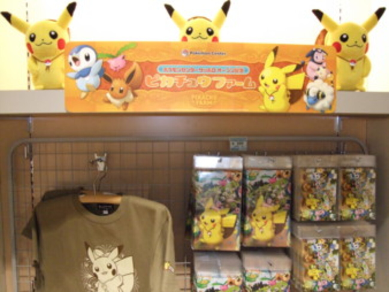 ポケモンセンターサッポロ オープン記念グッズ(3/6発売) - アサミの日記