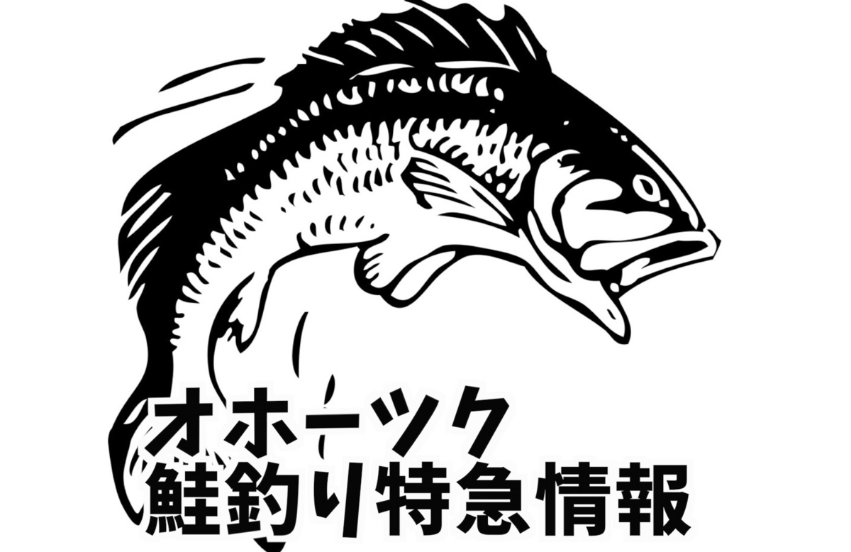 オホーツク 鮭 釣り 情報