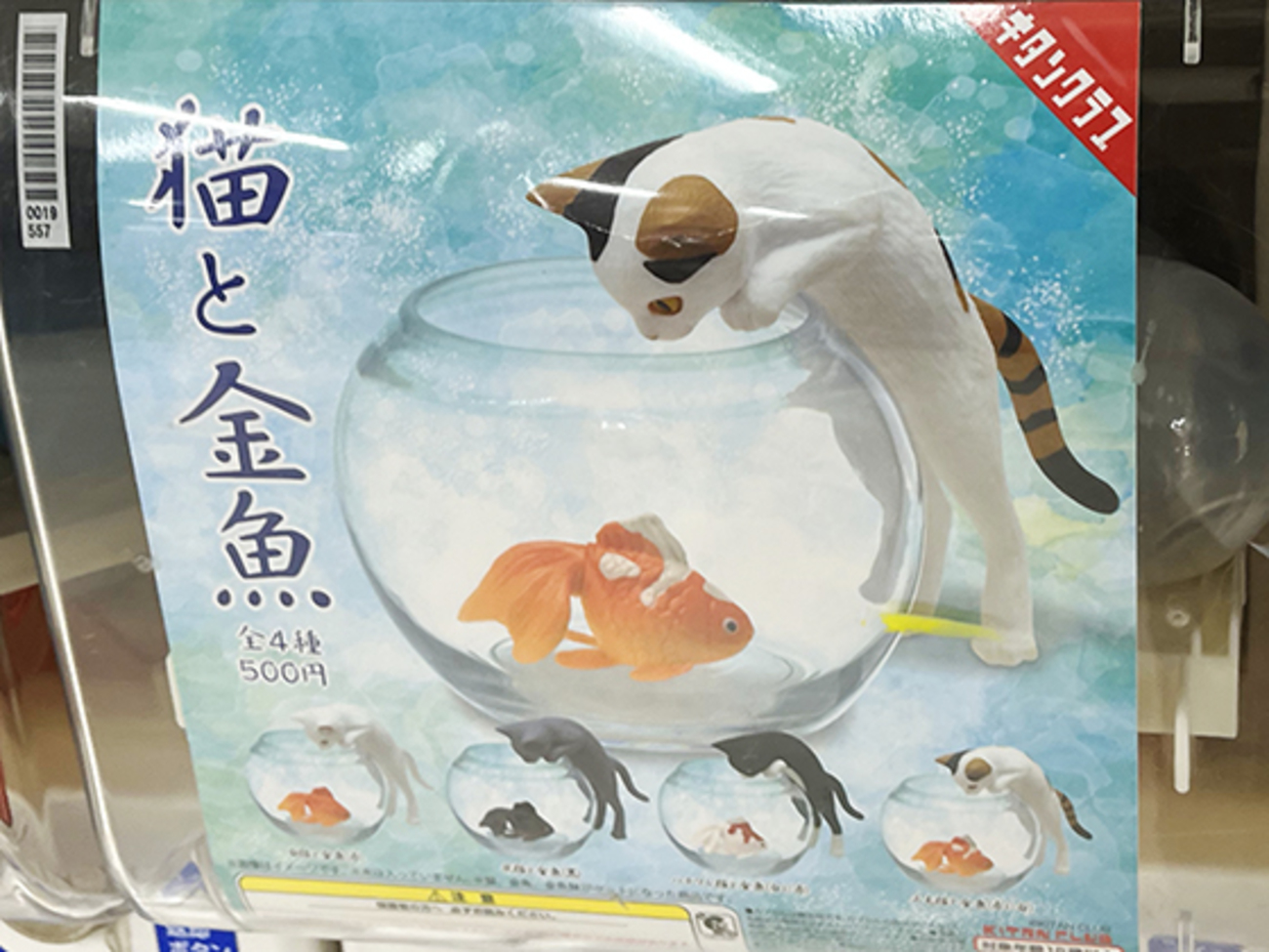 金魚と猫 猫と金魚｜株式会社キタンクラブ