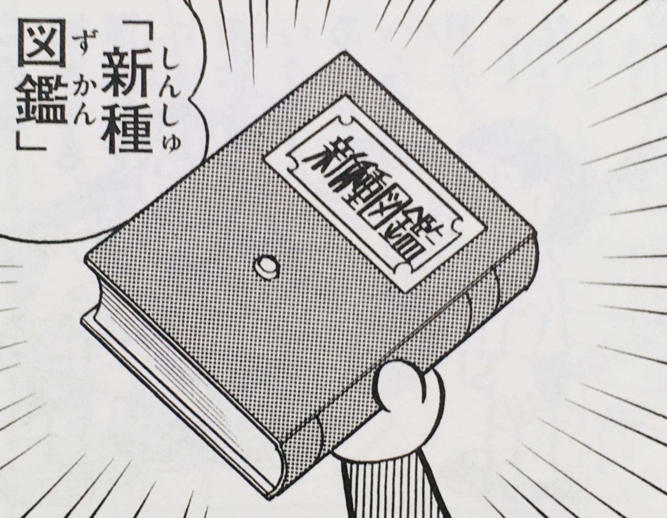 backend=imagemagick;version=1;