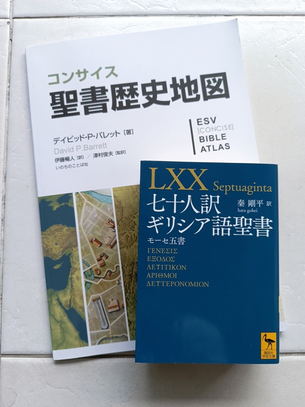 backend=imagemagick;version=1; 