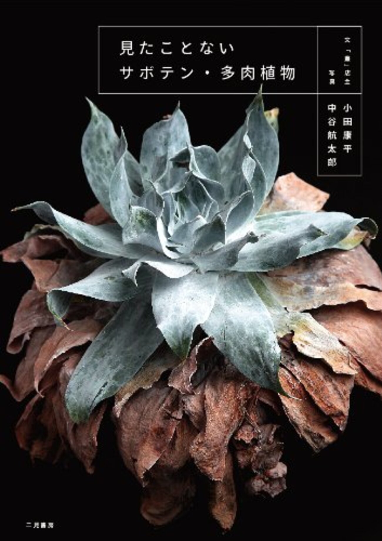 多肉植物・サボテン関連の本を借りてきました♫ - ニクニクしい多肉ライフ