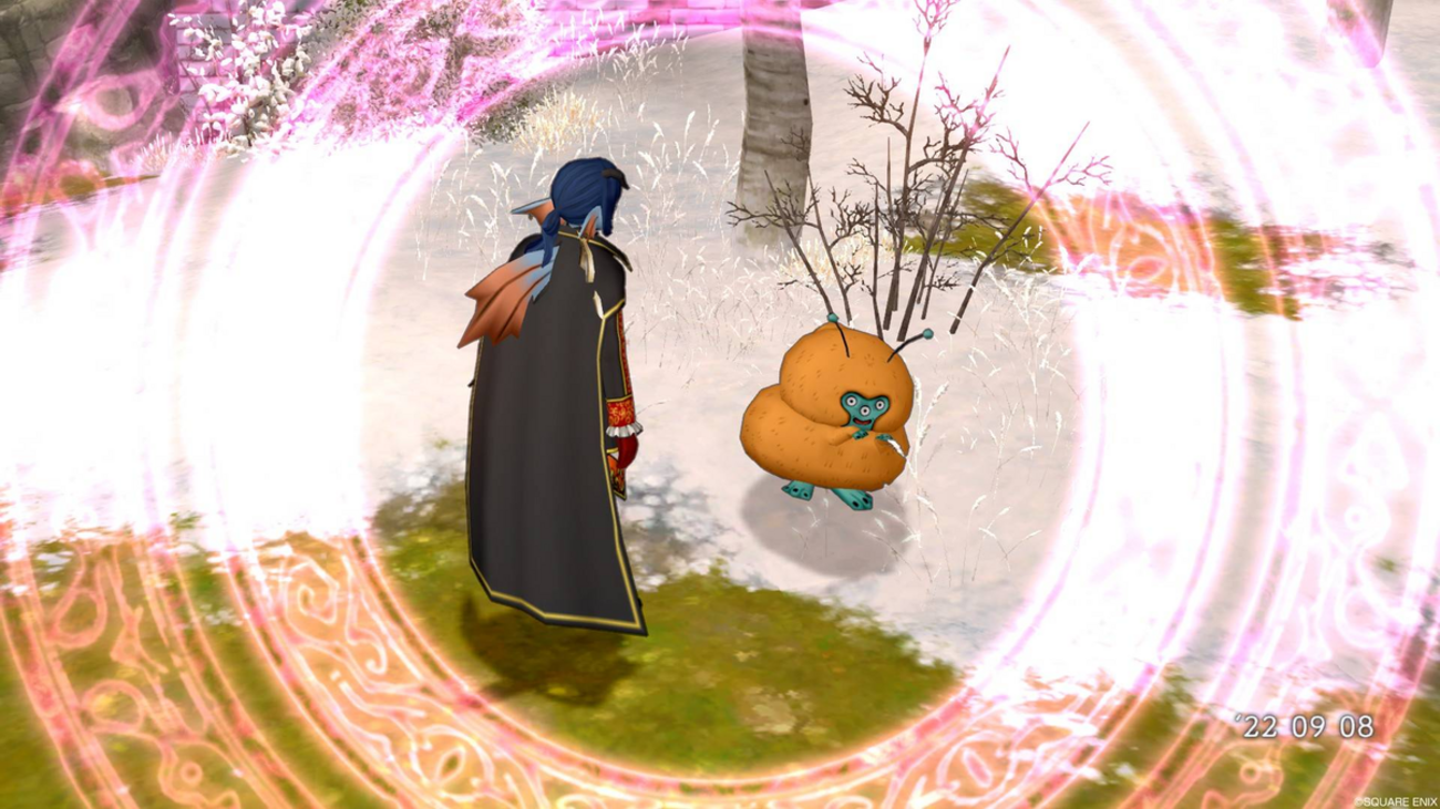 コインボス】お手伝いで行くタロット魔人強 - フィンのドラクエ１０ブログ