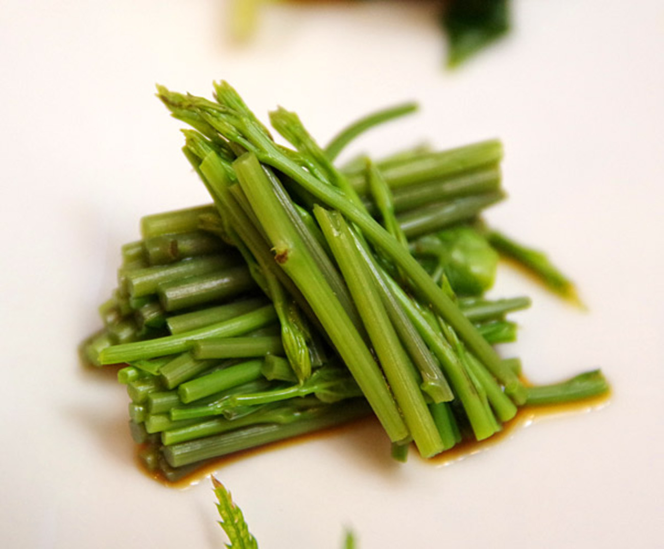 店主みずから採集した山菜フルコースが最高だ！天然食材の店「と 