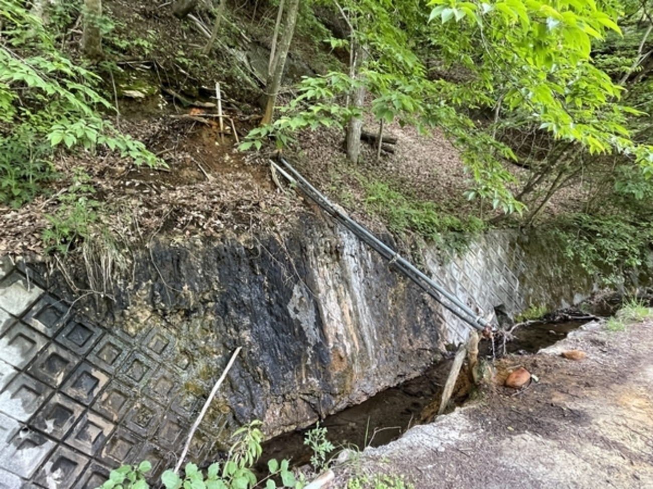 backend=imagemagick;version=1;