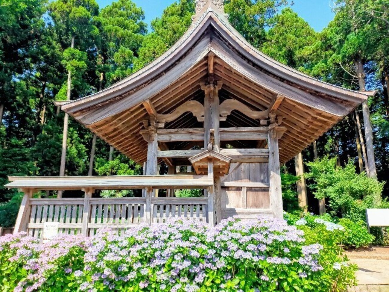 【中古】百済寺院の展開と古代日本 奈良時代の古代寺院の痕跡が残る 特別史跡 百済寺跡 | ぐるり生駒山系