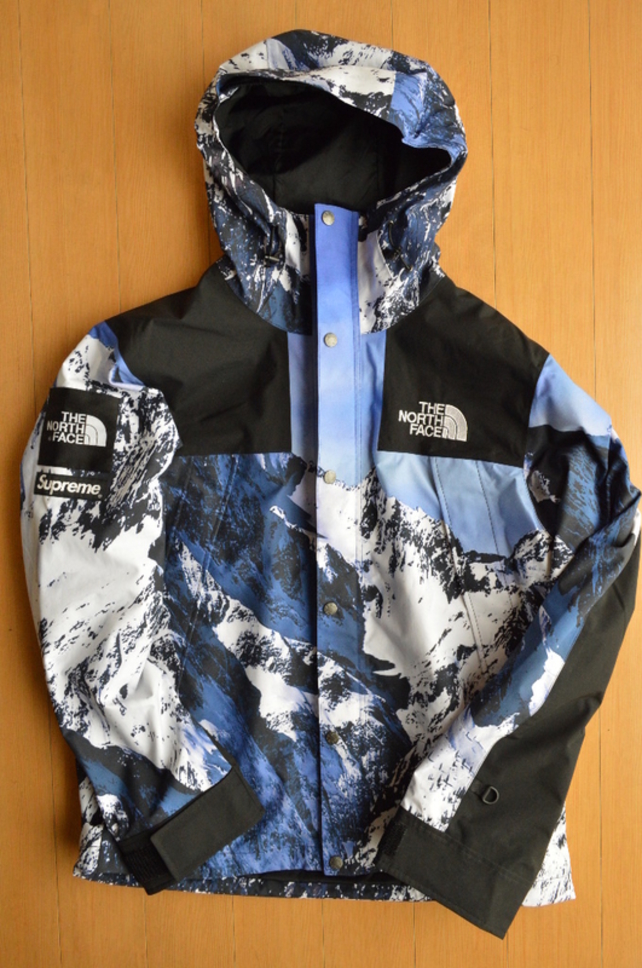 THE NORTH FACE◆MOUNTAIN PARKA/L/ナイロン/BLU/総柄/17AW/雪山//