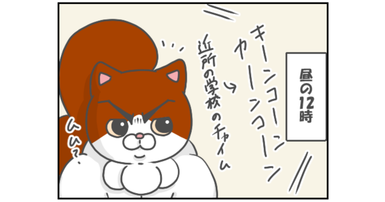 最近のココのお昼事情 - こじらせアラサーの人生日記