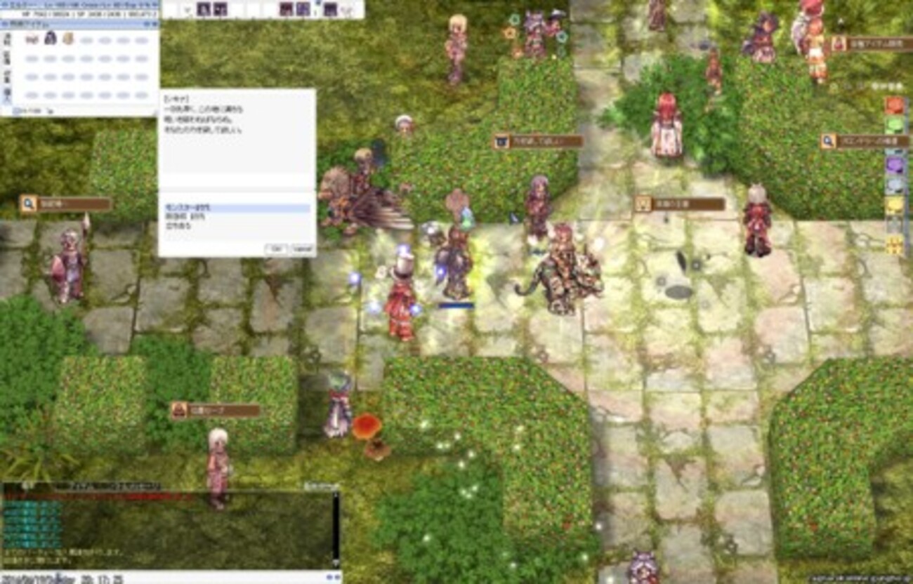 RO(深淵の回廊)：深淵の回廊に珍ソロで挑んでいます１ - 浮氷塊