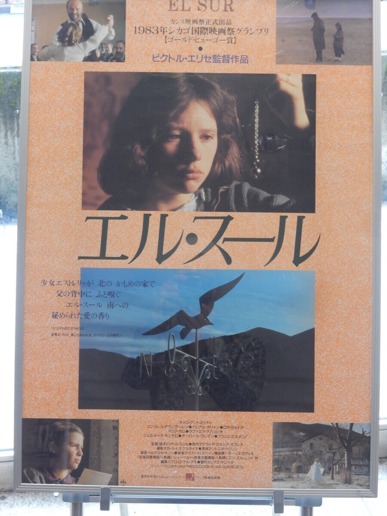 エル・スール』(1983) ヴィクトル・エリセ：監督 - ワニ狩り連絡帳2