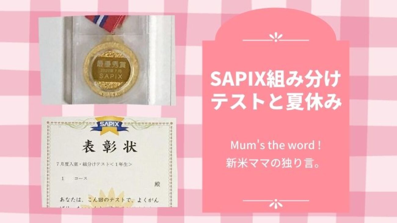 ⑲-15 サピックス　sapix 2019年版 テスト　+おまけ ⑲-15 サピックス sapix 2019年版 テスト +おまけ