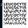 Leucocyte